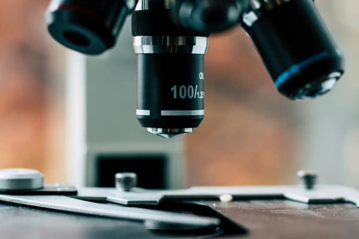 Malaria research
